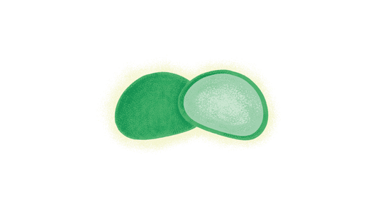 Matcha Mochi Ice-Cream